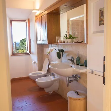 Guest house Le Palme Con Terrazze In Centro *